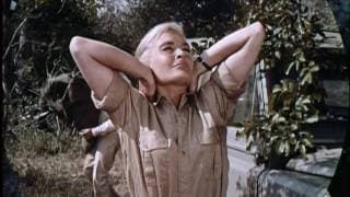 Rhino! (1964) trailer thumbnail